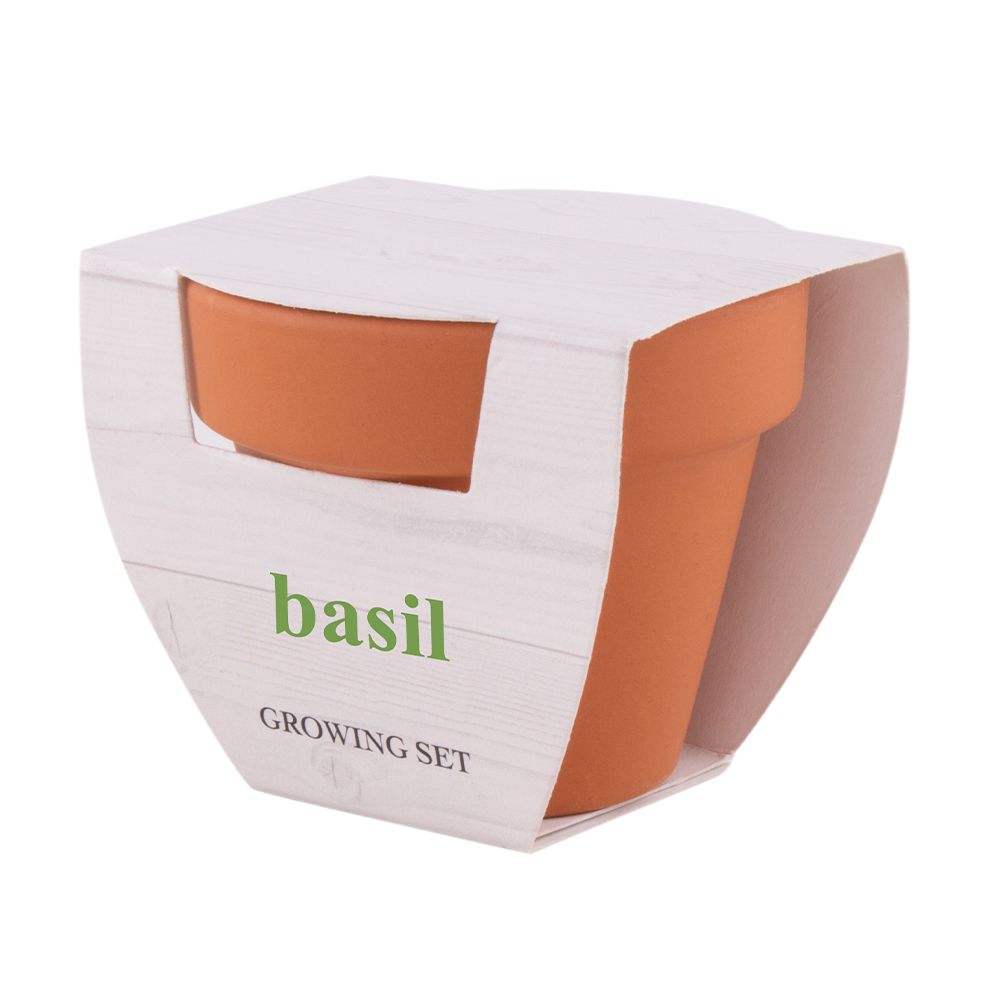 Ref.50549  MACETA BASIL - Imagen 2