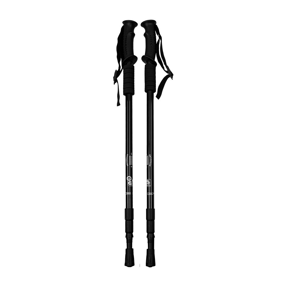 SET DE BASTONES MILFORD  Ref.52054 - Imagen 2