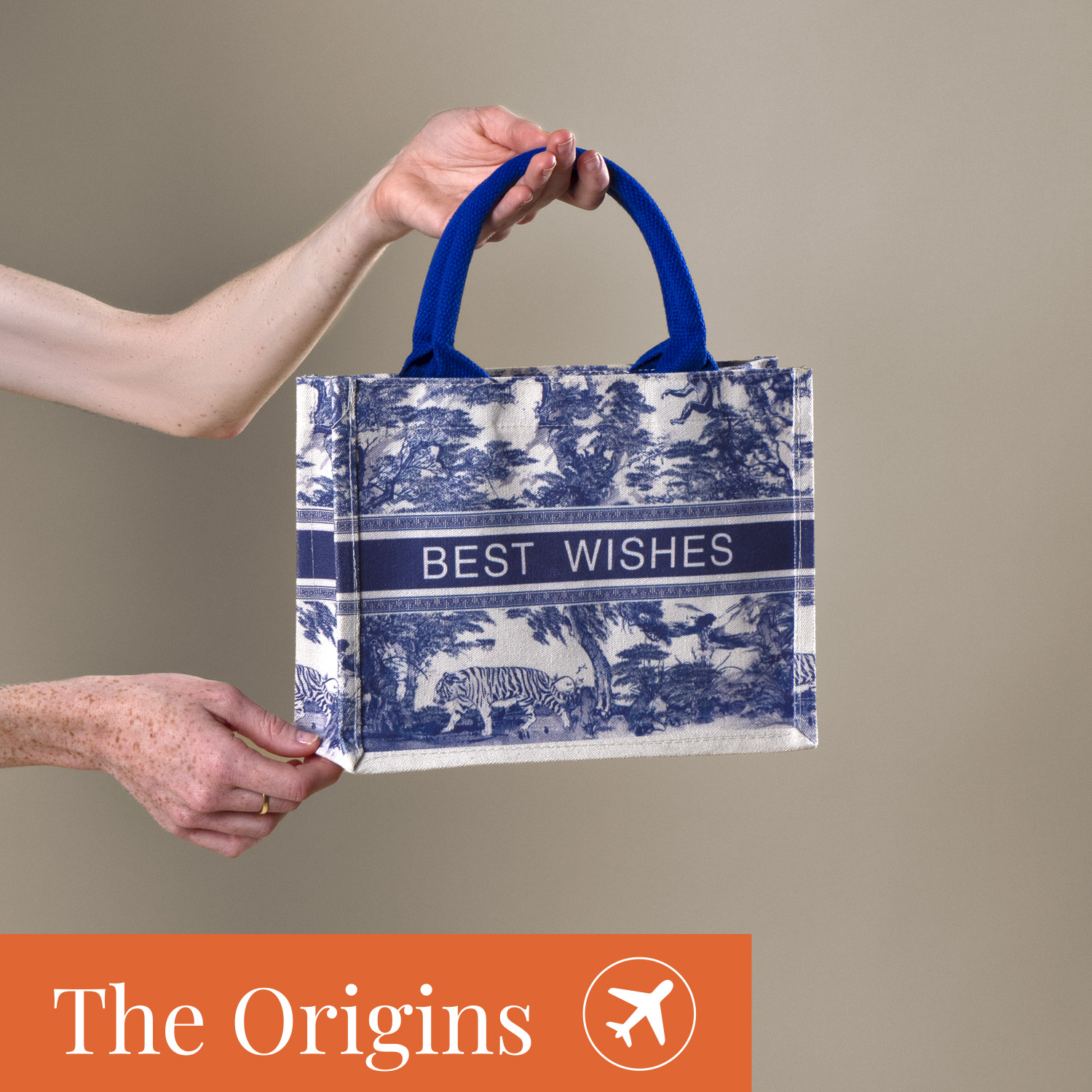 BOLSA VIANA EXPRESS  Ref.80310EXPRESS